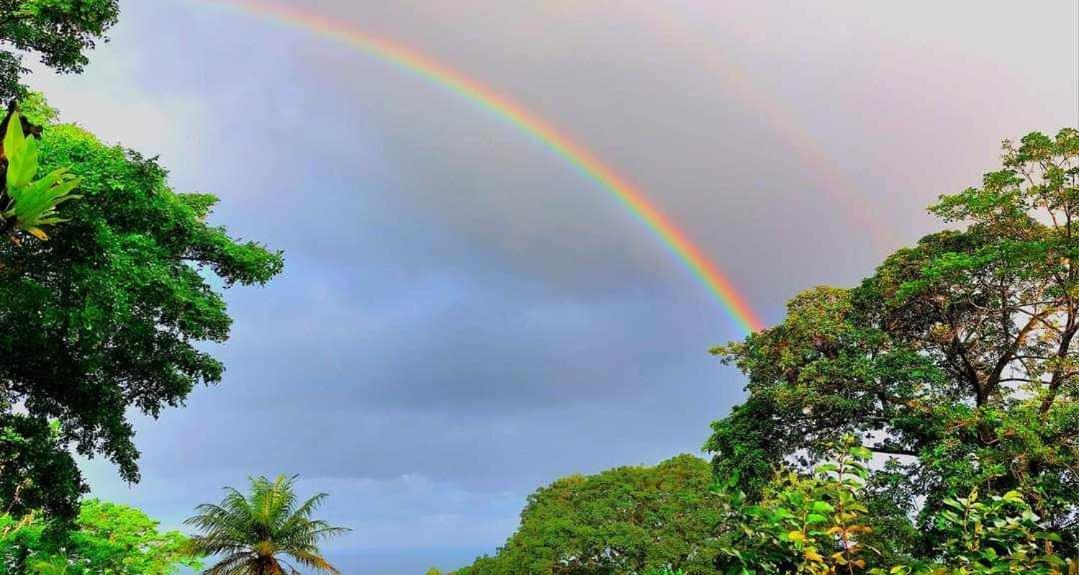 Pousadinha Mar Ave Ilha Principe Kültér fotó