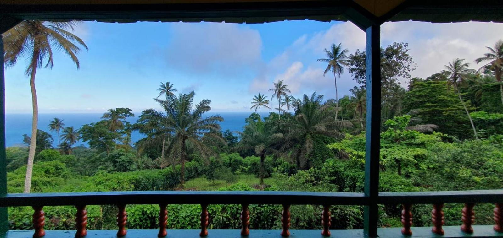 Pousadinha Mar Ave Ilha Principe Kültér fotó